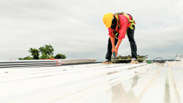 Best Steel Roofing  in Fairfield University, CT